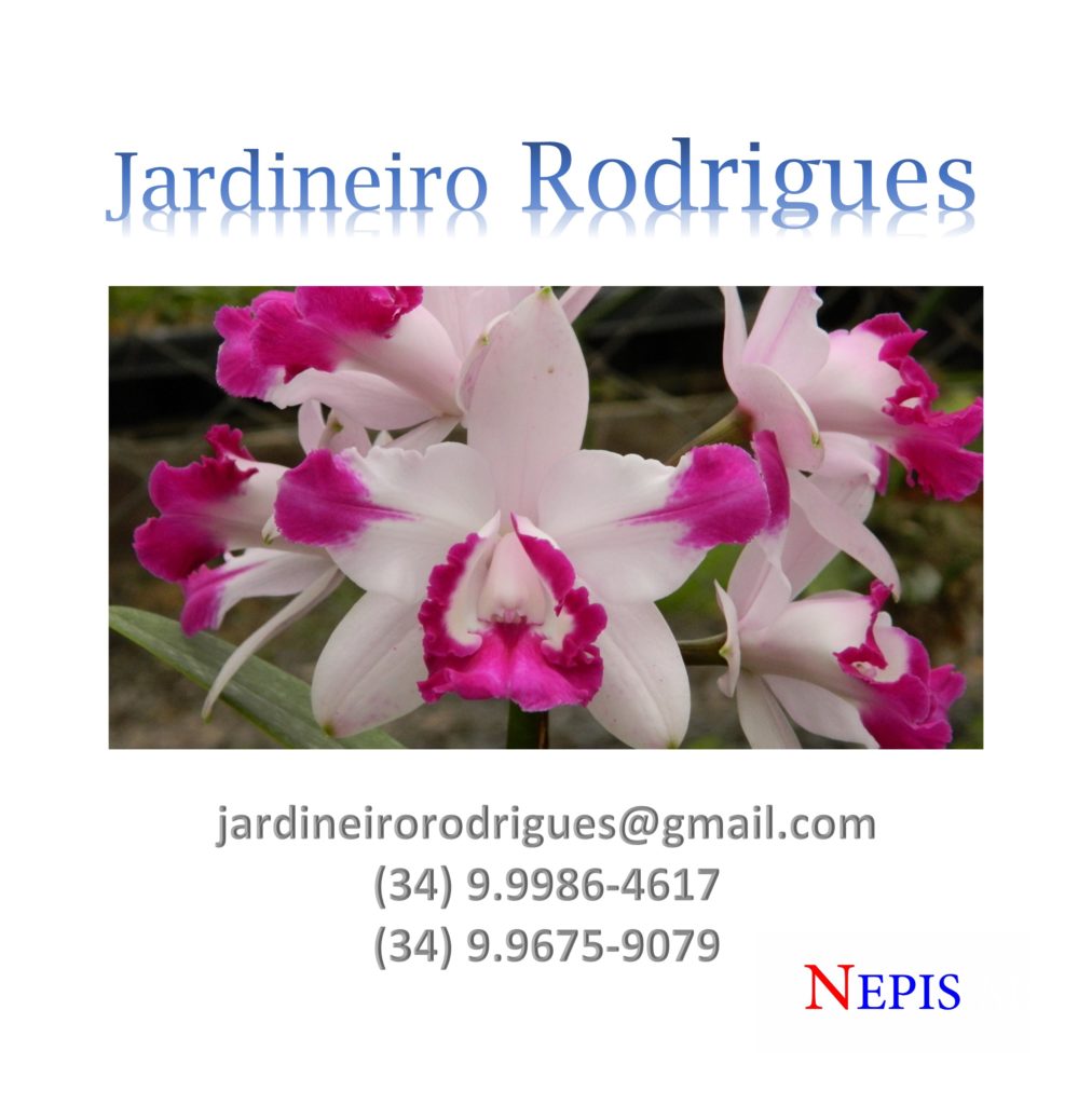 nepis-jardineiro-rodrigues-2