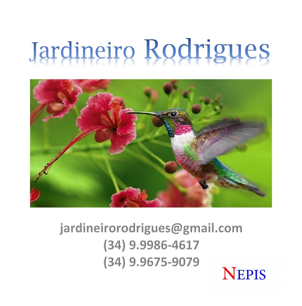 nepis-jardineiro-rodrigues-3