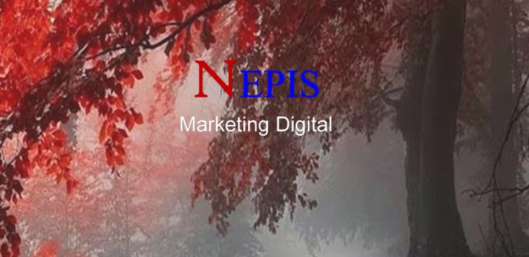 Porque  colocar sua empresa nas redes sociais – NEPIS Digital