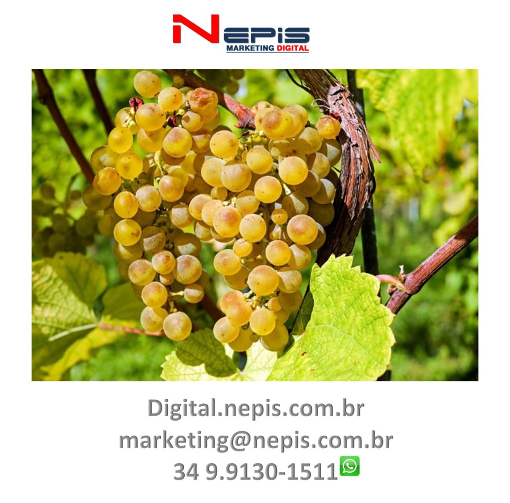 Publicidade Natureza Nepis 