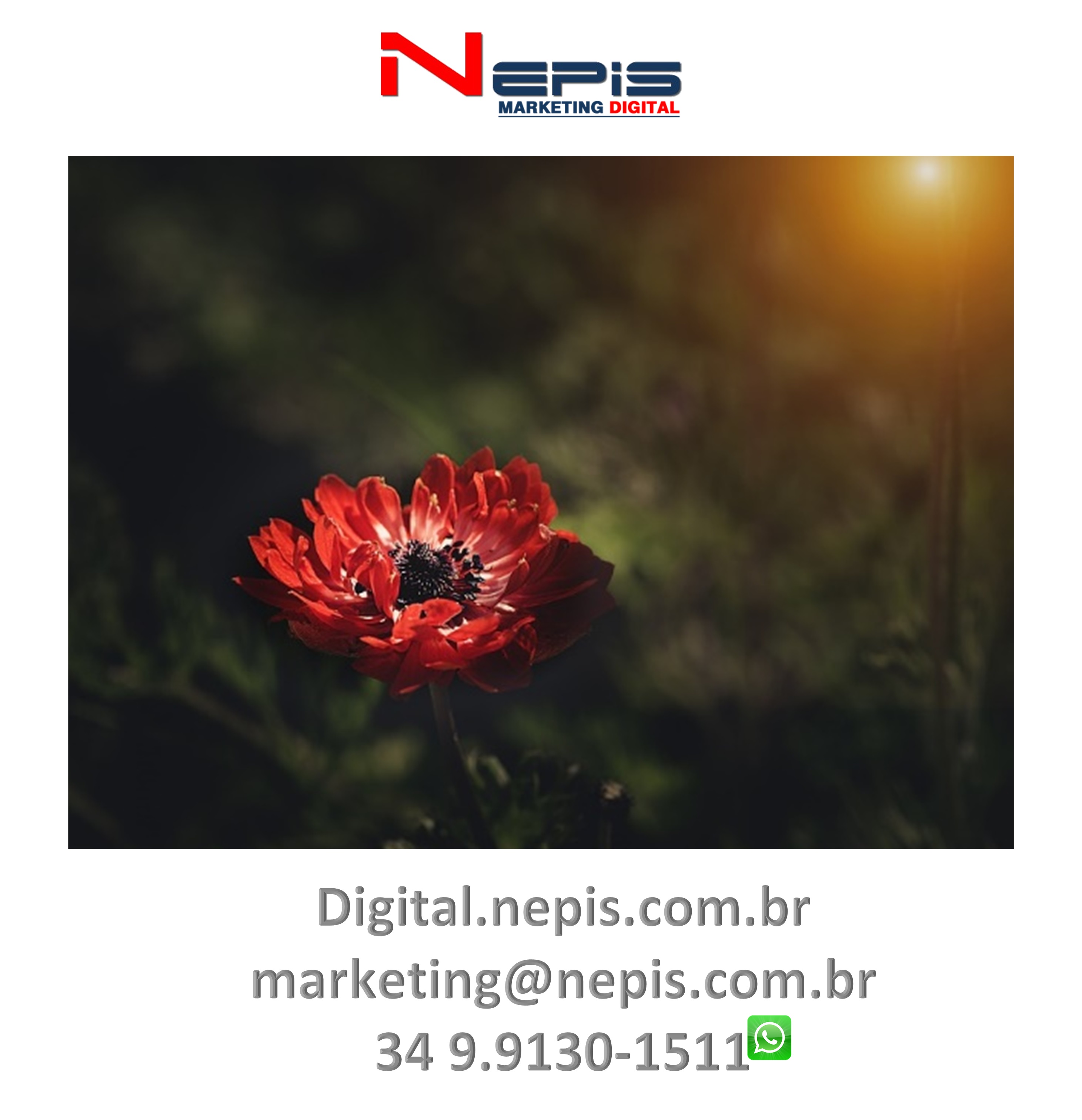 Redes sociais NEPIS marketing Digital hope